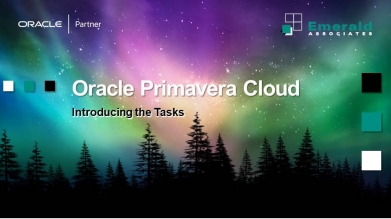 Oracle Primavera Cloud - Introducing the Tasks